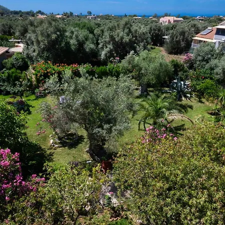 Apartament Fenia