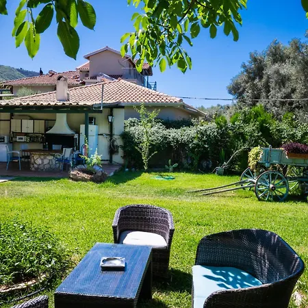 Apartment Fenia *
